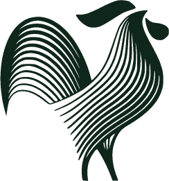 Black Chicken icon